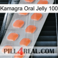 Kamagra Oral Jelly 100 26